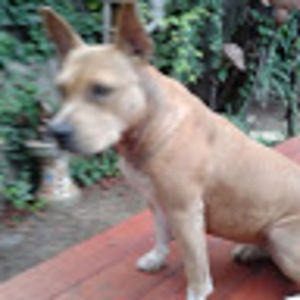 Meet your Posher, Paul